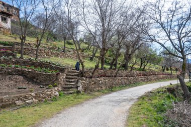 Bulgaristan 'ın Blagoevgrad Bölgesi, Ograzhden Dağı' ndaki Dolene Köyü Panoraması