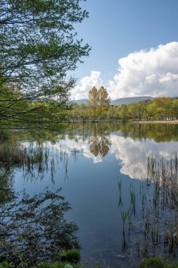 Pancharevo Gölü Bahar Manzarası, Sofya Şehir Bölgesi, Bulgaristan