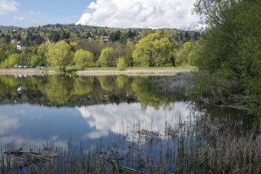 Pancharevo Gölü Bahar Manzarası, Sofya Şehir Bölgesi, Bulgaristan