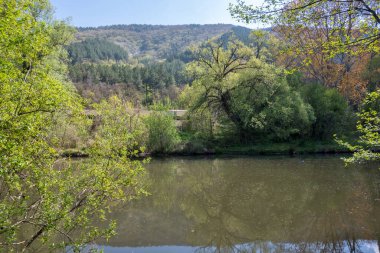 Pancharevo Gölü Bahar Manzarası, Sofya Şehir Bölgesi, Bulgaristan