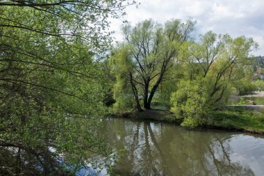 Pancharevo Gölü Bahar Manzarası, Sofya Şehir Bölgesi, Bulgaristan