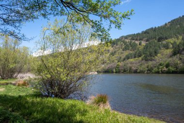 Pancharevo Gölü Bahar Manzarası, Sofya Şehir Bölgesi, Bulgaristan