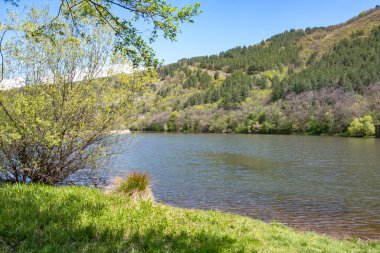 Pancharevo Gölü Bahar Manzarası, Sofya Şehir Bölgesi, Bulgaristan