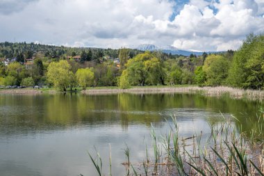 Pancharevo Gölü Bahar Manzarası, Sofya Şehir Bölgesi, Bulgaristan