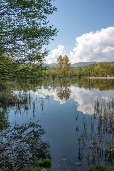Paisaje Primavera Del Lago Pancharevo Región Ciudad Sofía Bulgaria — Foto de Stock