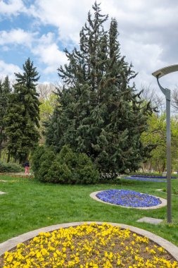 Bulgaristan 'ın başkenti Sofya' daki South Park 'ta İlkbahar Çiçekleri
