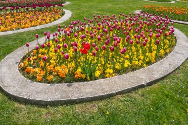 Bulgaristan 'ın başkenti Sofya' daki South Park 'ta İlkbahar Çiçekleri