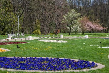 Bulgaristan 'ın başkenti Sofya' daki South Park 'ta İlkbahar Çiçekleri