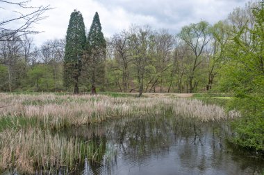 Bulgaristan 'ın başkenti Sofya' daki South Park 'ta İlkbahar Çiçekleri