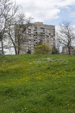 Bulgaristan 'ın başkenti Sofya' daki South Park 'ta İlkbahar Çiçekleri