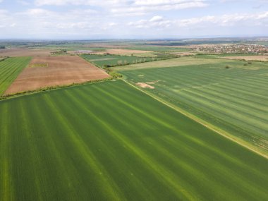 Bulgaristan 'ın Filibe Bölgesi' nin Asenovgrad kenti yakınlarındaki Yukarı Trakya Ovası 'nın hava manzarası