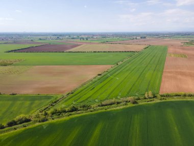 Bulgaristan 'ın Filibe Bölgesi' nin Asenovgrad kenti yakınlarındaki Yukarı Trakya Ovası 'nın hava manzarası