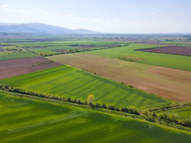 Bulgaristan 'ın Filibe Bölgesi' nin Asenovgrad kenti yakınlarındaki Yukarı Trakya Ovası 'nın hava manzarası