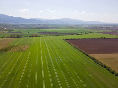 Bulgaristan 'ın Filibe Bölgesi' nin Asenovgrad kenti yakınlarındaki Yukarı Trakya Ovası 'nın hava manzarası