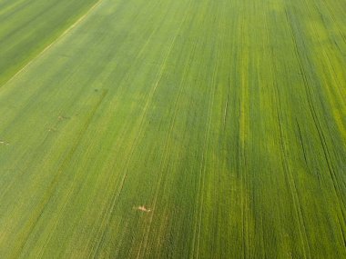 Bulgaristan 'ın Filibe Bölgesi' nin Asenovgrad kenti yakınlarındaki Yukarı Trakya Ovası 'nın hava manzarası