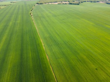 Bulgaristan 'ın Filibe Bölgesi' nin Asenovgrad kenti yakınlarındaki Yukarı Trakya Ovası 'nın hava manzarası