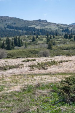 Bulgaristan 'ın Sofya Şehir Bölgesi Vitosha Dağı' ndaki Konyarnika bölgesinin bahar manzarası