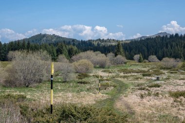 Bulgaristan 'ın Sofya Şehir Bölgesi Vitosha Dağı' ndaki Konyarnika bölgesinin bahar manzarası