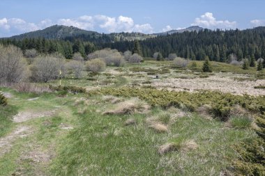 Bulgaristan 'ın Sofya Şehir Bölgesi Vitosha Dağı' ndaki Konyarnika bölgesinin bahar manzarası