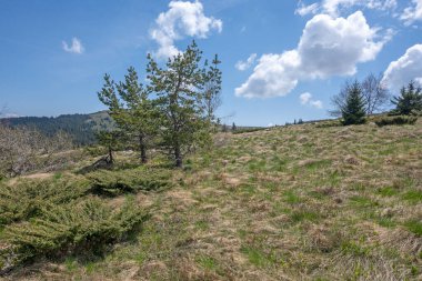 Bulgaristan 'ın Sofya Şehir Bölgesi Vitosha Dağı' ndaki Konyarnika bölgesinin bahar manzarası