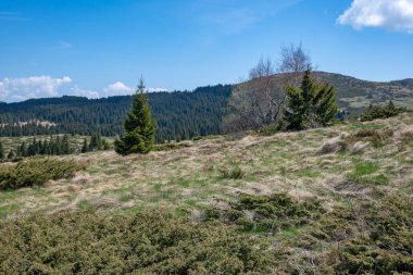 Bulgaristan 'ın Sofya Şehir Bölgesi Vitosha Dağı' ndaki Konyarnika bölgesinin bahar manzarası