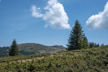 Bulgaristan 'ın Sofya Şehir Bölgesi Vitosha Dağı' ndaki Konyarnika bölgesinin bahar manzarası
