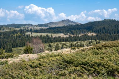 Bulgaristan 'ın Sofya Şehir Bölgesi Vitosha Dağı' ndaki Konyarnika bölgesinin bahar manzarası