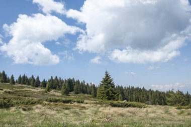 Bulgaristan 'ın Sofya Şehir Bölgesi Vitosha Dağı' ndaki Konyarnika bölgesinin bahar manzarası