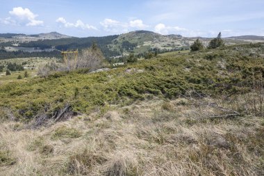 Bulgaristan 'ın Sofya Şehir Bölgesi Vitosha Dağı' ndaki Konyarnika bölgesinin bahar manzarası