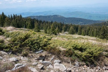 Bulgaristan 'ın Sofya Şehir Bölgesi Vitosha Dağı' ndaki Konyarnika bölgesinin bahar manzarası