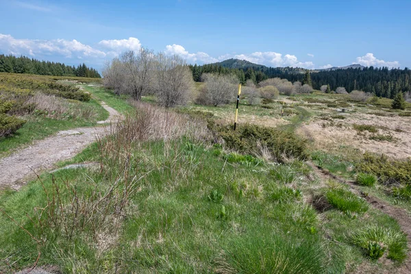 stock image Spring view of Konyarnika area at Vitosha Mountain, Sofia City Region, Bulgaria