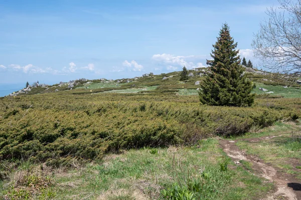 stock image Spring view of Konyarnika area at Vitosha Mountain, Sofia City Region, Bulgaria