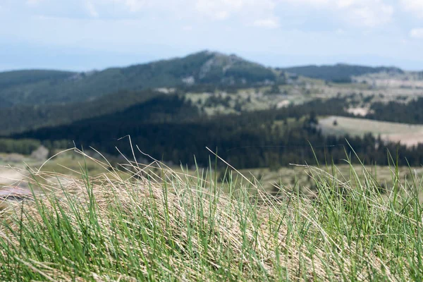 stock image Spring view of Konyarnika area at Vitosha Mountain, Sofia City Region, Bulgaria