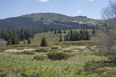 Bulgaristan 'ın Sofya Şehir Bölgesi Vitosha Dağı' ndaki Konyarnika bölgesinin bahar manzarası