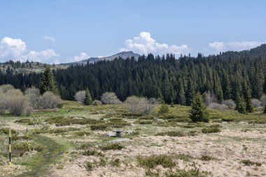 Bulgaristan 'ın Sofya Şehir Bölgesi Vitosha Dağı' ndaki Konyarnika bölgesinin bahar manzarası