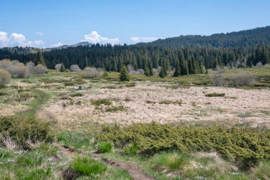 Bulgaristan 'ın Sofya Şehir Bölgesi Vitosha Dağı' ndaki Konyarnika bölgesinin bahar manzarası