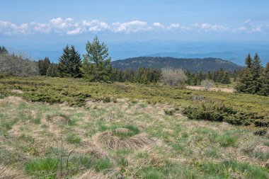 Bulgaristan 'ın Sofya Şehir Bölgesi Vitosha Dağı' ndaki Konyarnika bölgesinin bahar manzarası