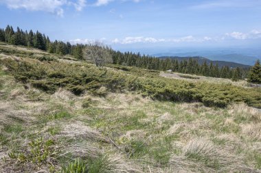 Bulgaristan 'ın Sofya Şehir Bölgesi Vitosha Dağı' ndaki Konyarnika bölgesinin bahar manzarası