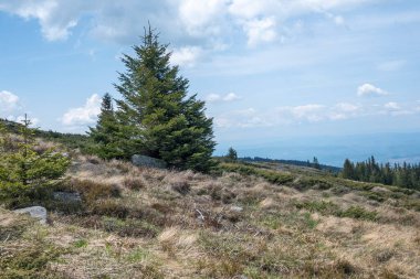 Bulgaristan 'ın Sofya Şehir Bölgesi Vitosha Dağı' ndaki Konyarnika bölgesinin bahar manzarası