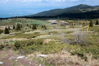 Bulgaristan 'ın Sofya Şehir Bölgesi Vitosha Dağı' ndaki Konyarnika bölgesinin bahar manzarası