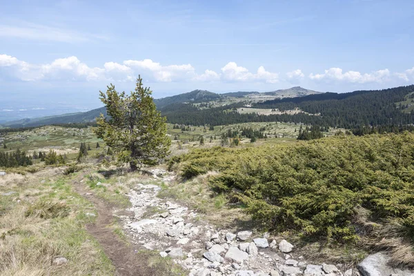 Bulgaristan 'ın Sofya Şehir Bölgesi Vitosha Dağı' ndaki Konyarnika bölgesinin bahar manzarası