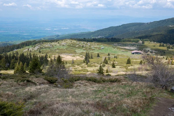 Bulgaristan 'ın Sofya Şehir Bölgesi Vitosha Dağı' ndaki Konyarnika bölgesinin bahar manzarası