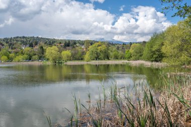 Pancharevo Gölü Bahar Manzarası, Sofya Şehir Bölgesi, Bulgaristan