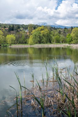 Pancharevo Gölü Bahar Manzarası, Sofya Şehir Bölgesi, Bulgaristan