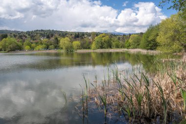 Pancharevo Gölü Bahar Manzarası, Sofya Şehir Bölgesi, Bulgaristan