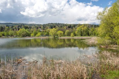 Pancharevo Gölü Bahar Manzarası, Sofya Şehir Bölgesi, Bulgaristan