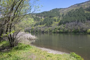 Pancharevo Gölü Bahar Manzarası, Sofya Şehir Bölgesi, Bulgaristan