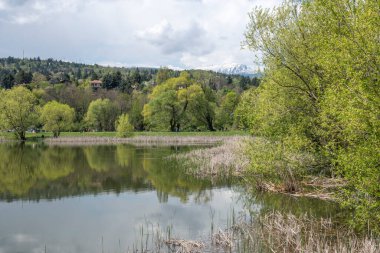 Pancharevo Gölü Bahar Manzarası, Sofya Şehir Bölgesi, Bulgaristan