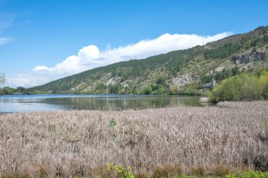 Pancharevo Gölü Bahar Manzarası, Sofya Şehir Bölgesi, Bulgaristan