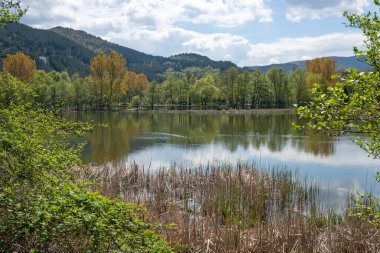 Pancharevo Gölü Bahar Manzarası, Sofya Şehir Bölgesi, Bulgaristan